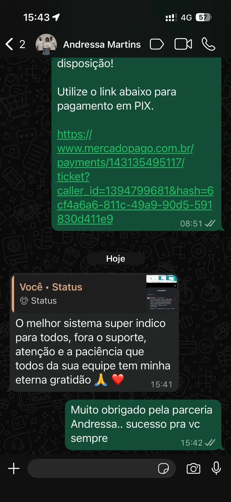 Depoimento Andressa